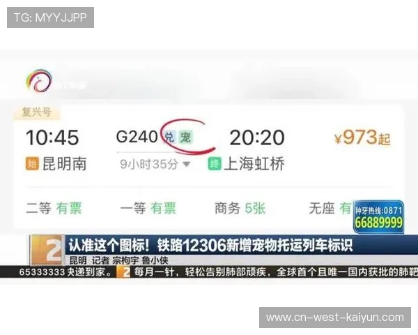 12306上线宠物托运服务 部分车次新增宠字标识